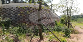 ag亚娱集团·(中国)官方网站